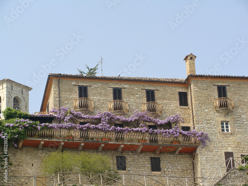 old house entwined with climbing plants