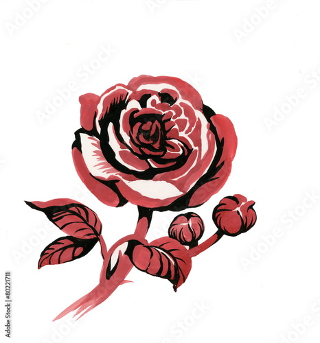Handdrawn red rose in sketch-style, isolated on white background