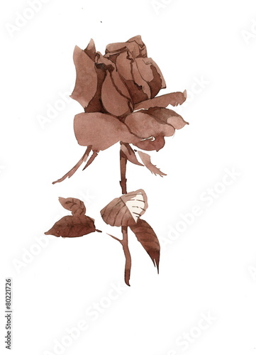 Handdrawn brown rose in sketch-style, on white background