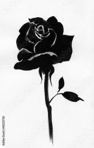Handdrawn black rose in sketch-style, on white background