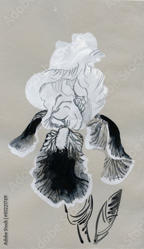 Beautiful iris painted in watercolor