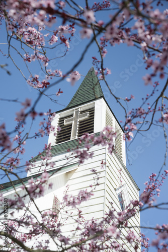 Church steeple with blossoms