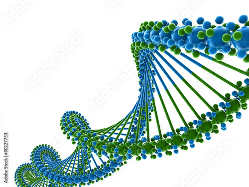 DNA