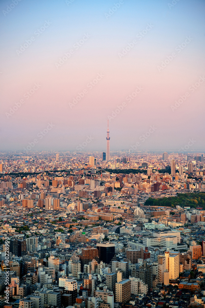 Obraz premium Tokyo rooftop