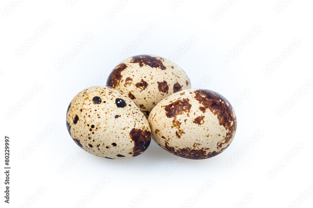 quail eggs quail eggs