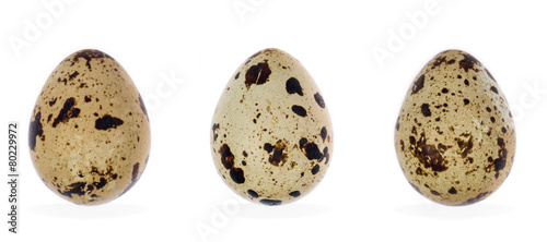 quail eggs isolated photo