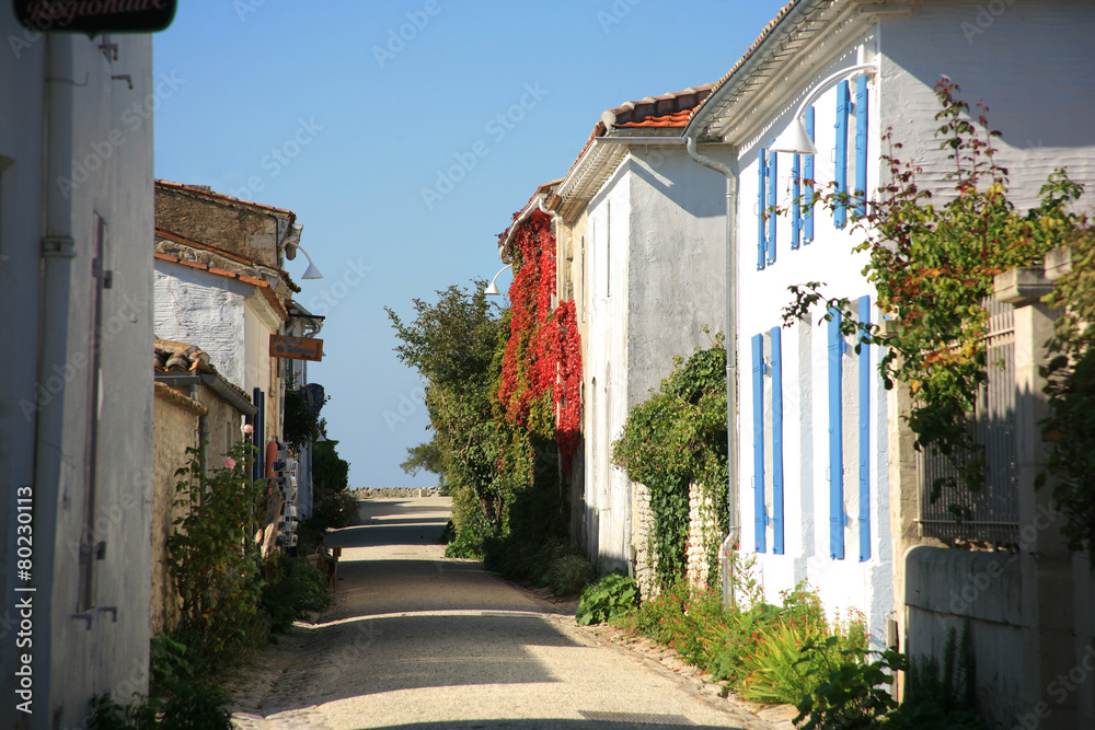 Francia,la cittadina di Talmont.