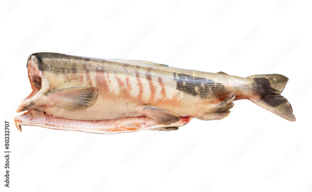 raw fish chum Stock Photo