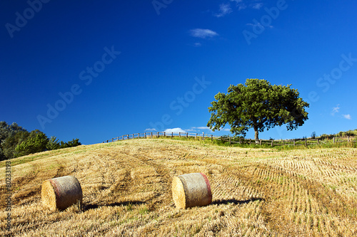 Campagna riminese photo