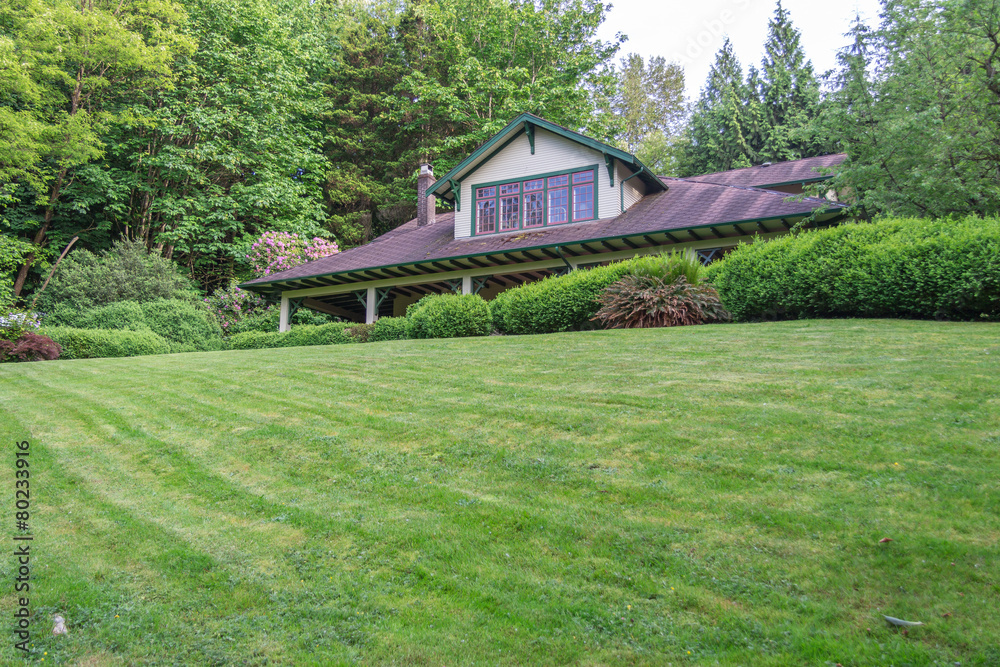 Obraz premium House in the park