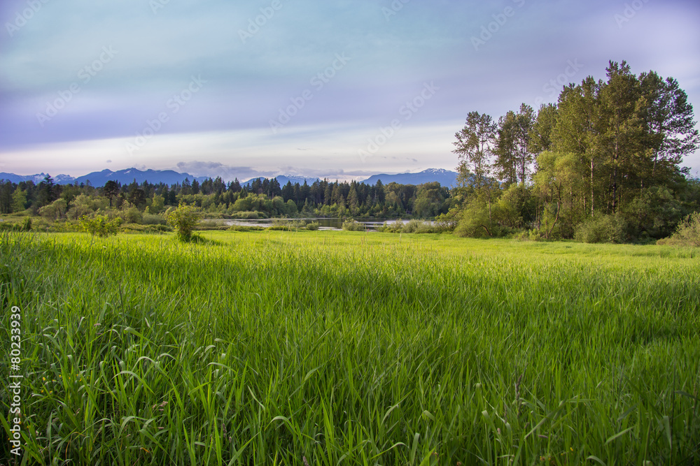 Obraz premium Landscape view