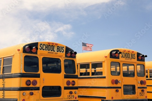 Tableau sur toile Row of American school busses, USA