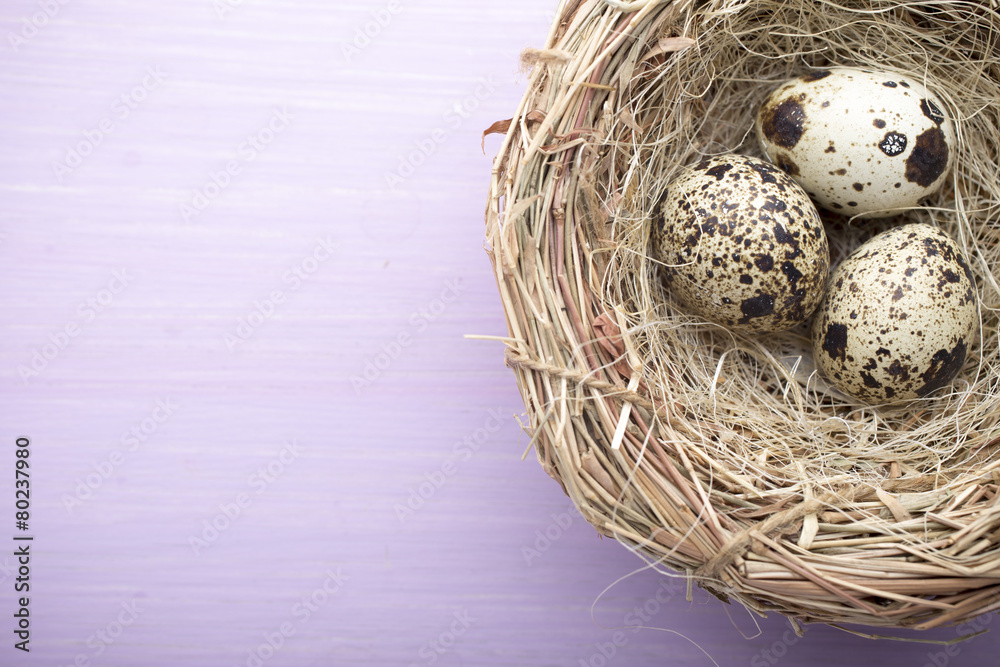 Quail eggs. Easter greeting card. Quail eggs. Easter greeting card.