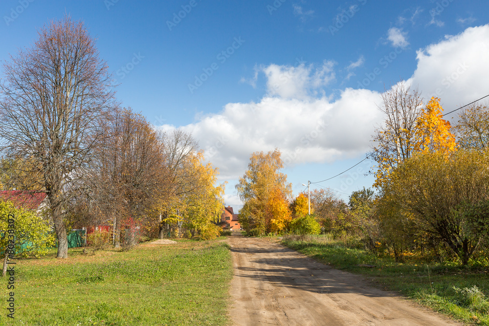 Fototapeta premium Autumn forest