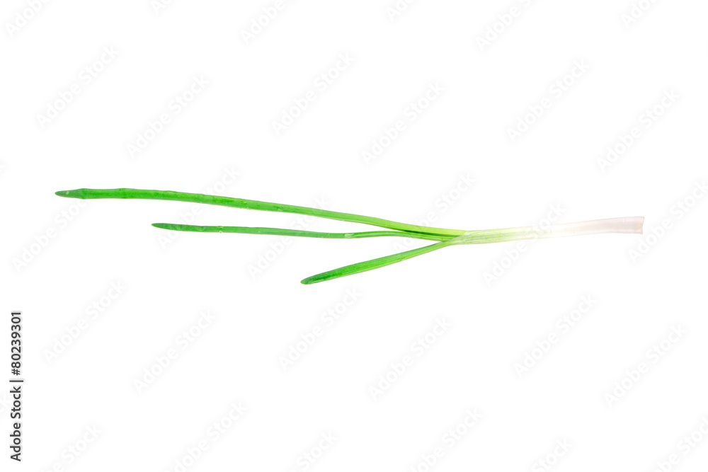 Beautiful spring onions. Beautiful spring onions.