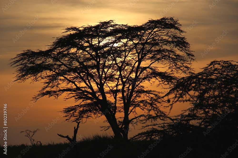 sunset,Tanzania