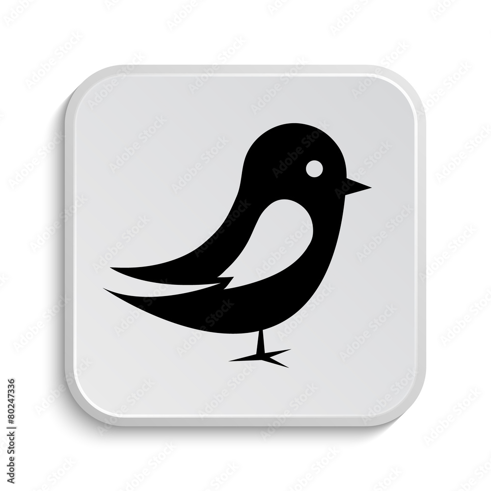 Bird icon Bird icon