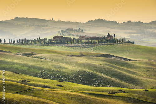 Beautiful green field and the Tuscany landscape © Jarek Pawlak