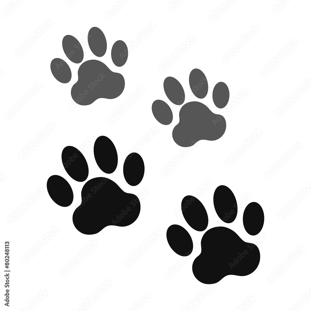 dog paw dog paw
