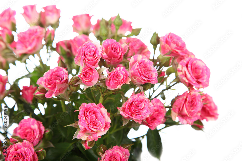 Bouquet of pink roses Bouquet of pink roses