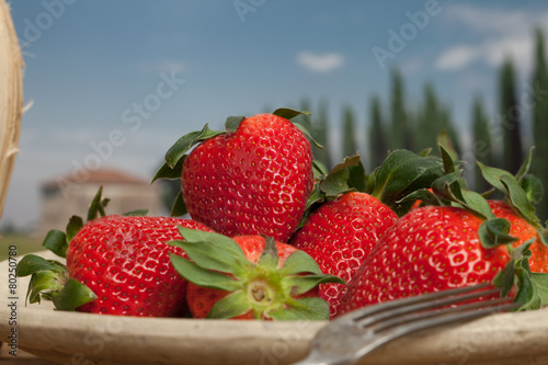 Erdbeeren