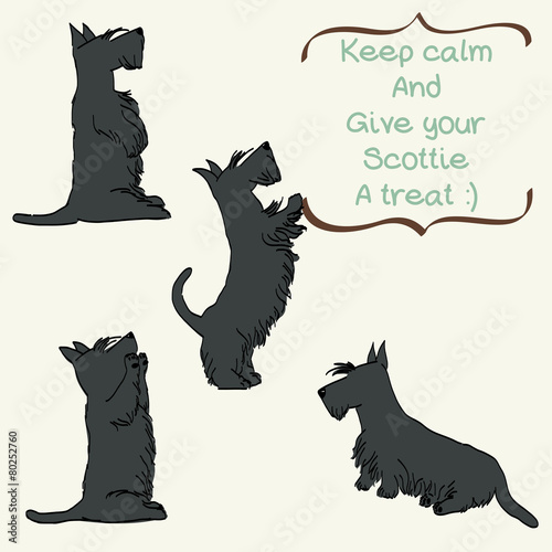 Cartoon dog. Set of hand drawn Scottish terriers