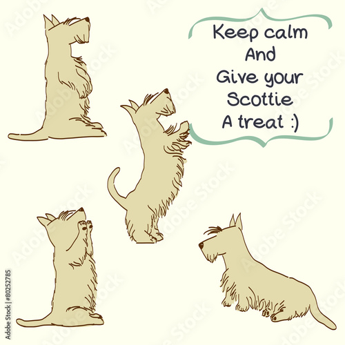 Cartoon dogs in different poses. Wheaten Scottish terrier