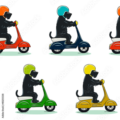 Dogs seamless pattern. Cartoon scottish terrier on scooter