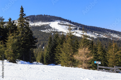 Zima na Czarnej Górze w Stroniu Śląskim, masyw Snieżnika