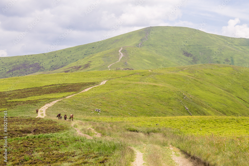 Fototapeta premium mountains landscape