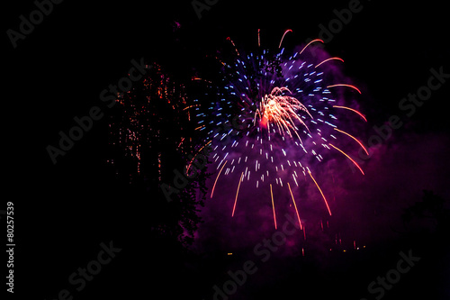 fireworks and trees