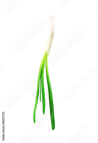 Beautiful spring onions.