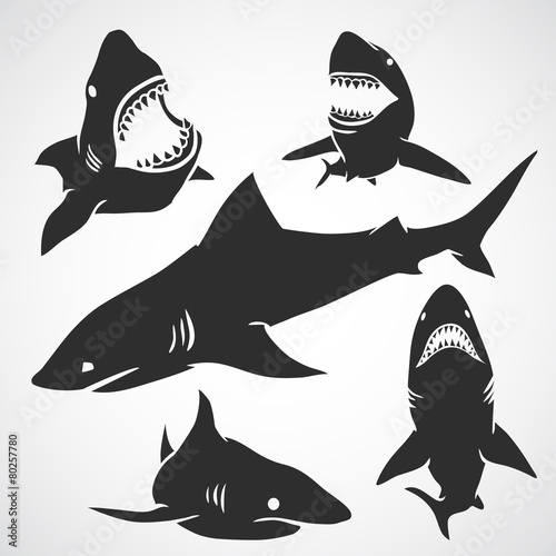 Set of Sharks