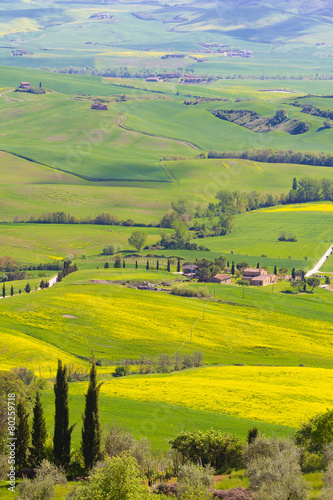 Fototapeta Naklejka Na Ścianę i Meble -  Tuscany countryside near Pienza, Italy