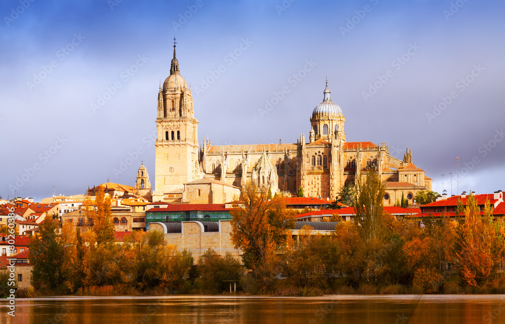 Salamanca Cathedral from  River