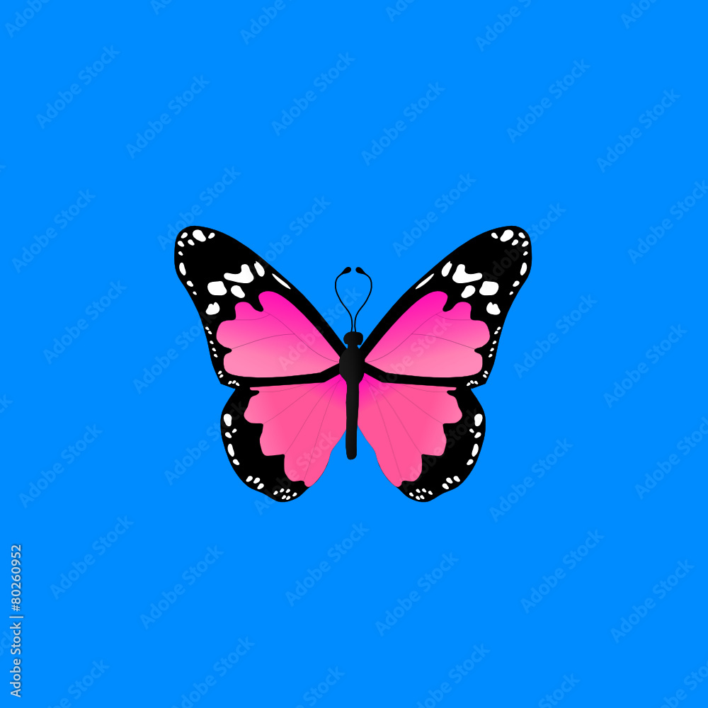 Mariposas Mariposas