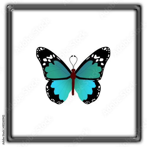 Mariposas 