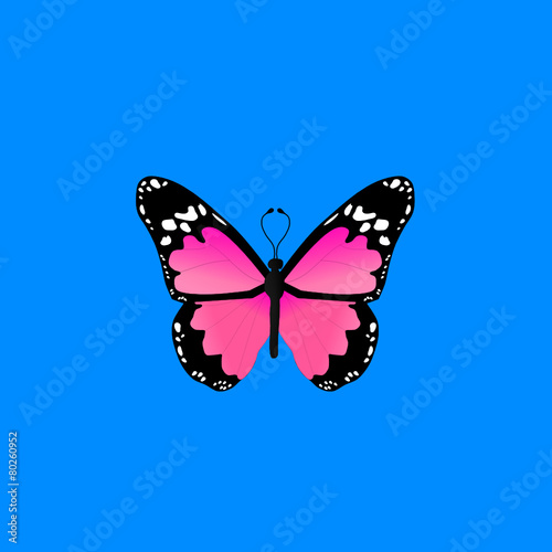 Mariposas 