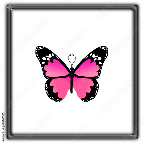 Mariposas 