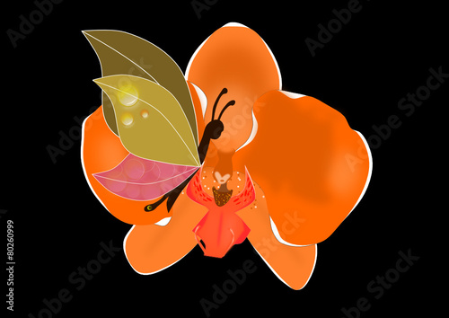 Orquídeas 