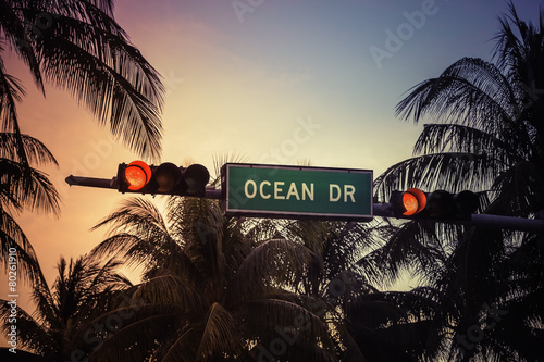 Coconut tree against Ocean Drive sign in Miami Beach, Florida