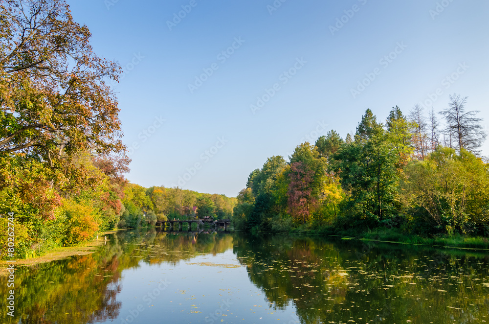 Fototapeta premium Attractive autumn landscape with beautiful reflection of woods f