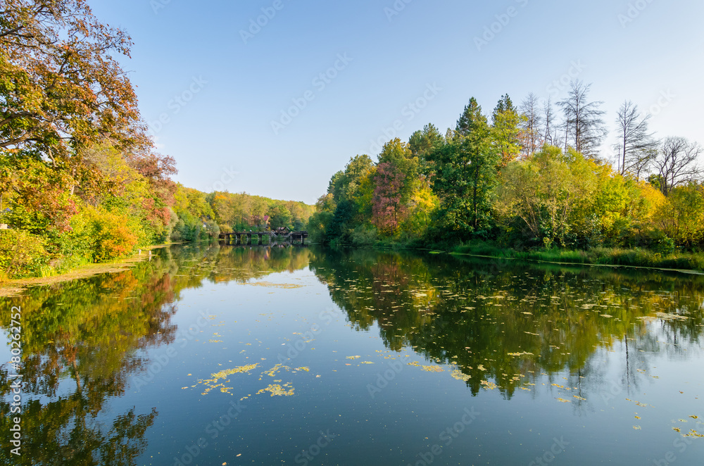 Attractive autumn landscape with beautiful reflection of woods f