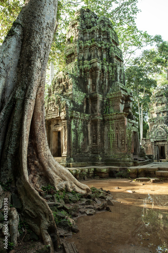 The ruins of Ta Prom Temple   Angkor Historical Park  Cambodia.