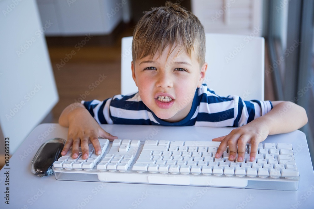Little boy using computer in the living room