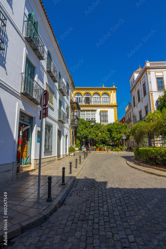 Obraz premium beautiful streets full of typical color of the Andalusian city o