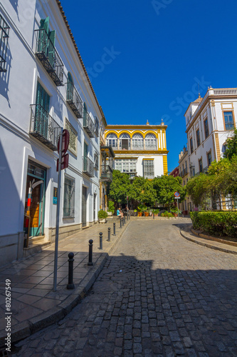 beautiful streets full of typical color of the Andalusian city o