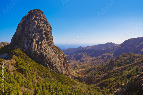 Rocks in La Gomera island - Canary