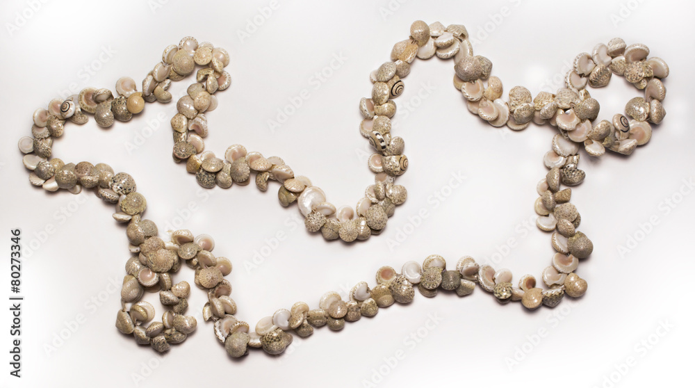 Beautiful necklace made of sea shells Beautiful necklace made of sea shells