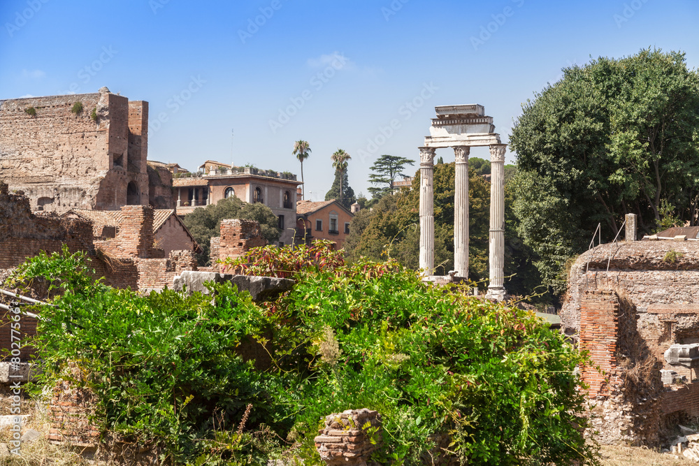 Old Roman Forum in Rome, Italy